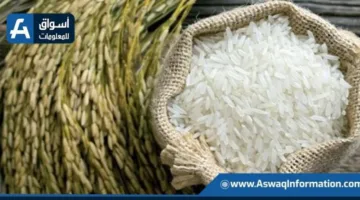 سعر الأرز لدى التجار اليوم الاثنين: كم تبلغ تكلفة طن الشعير؟