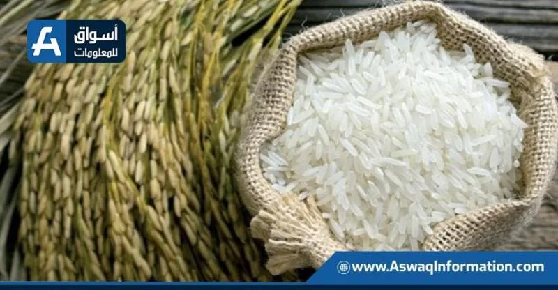 سعر الأرز لدى التجار اليوم الاثنين: كم تبلغ تكلفة طن الشعير؟