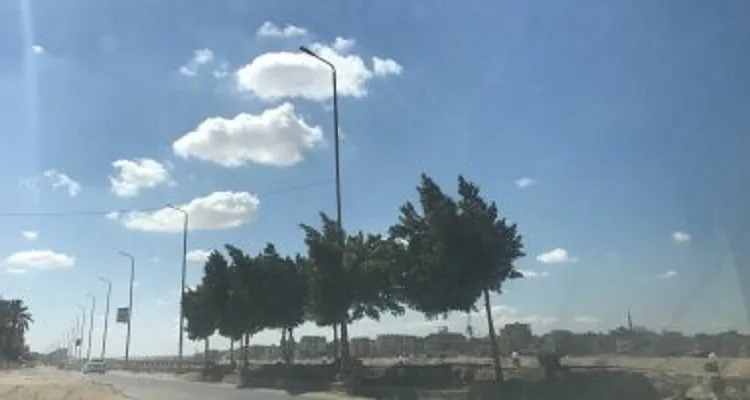ضباب ورياح قوية: أبرز تفاصيل الطقس ليوم الإثنين 2-6-2025 ضباب ورياح قوية: أبرز تفاصيل الطقس ليوم الإثنين 2-6-2025