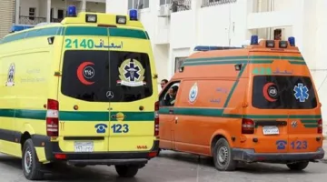 مصرع وإصابة 5 أفراد نتيجة دهسهم بواسطة شاحنة على الطريق الدائري في القليوبية