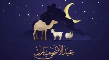 عاجل | تاريخ يوم عرفة 2025 … مواعيد إجازة عيد الأضحى ومدة العطلة