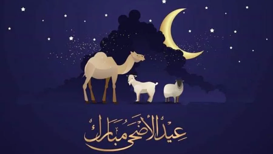عاجل | تاريخ يوم عرفة 2025 … مواعيد إجازة عيد الأضحى ومدة العطلة عاجل | تاريخ يوم عرفة 2025 … مواعيد إجازة عيد الأضحى ومدة العطلة