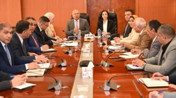 كامل الوزير: سيتم تسليم الأراضي للمستثمرين بمجرد استلام خطاب التخصيص من الهيئة العامة للتنمية الصناعية.