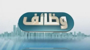 فرص’emploi في شركة مصر للطيران: ما هي التخصصات الواجبة؟