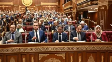 النائب مجدي سليم يعرض أمام مجلس الشيوخ طلبه حول التصدي لمشكلة التصحر ونقص المياه.
