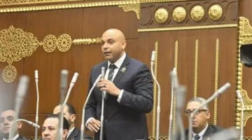 النائب محمود القط يناقش طلبه حول إجراءات وزارة البيئة لمواجهة آثار التغيرات المناخية وتقليل مخاطرها على المناطق الساحلية.