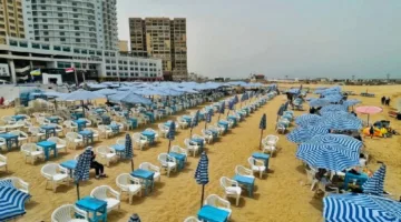 الإسكندرية تُعلن عن تحضيراتها لاستقبال عيد الأضحى وموسم الصيف.