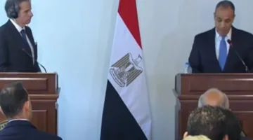 وزير الخارجية يتناول مع مدير وكالة الطاقة الذرية خطة مصر الطموحة للطاقة النووية