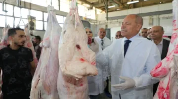 محافظ القاهرة يزور مجزر 15 مايو للتأكد من جاهزيته لاستقبال عيد الأضحى