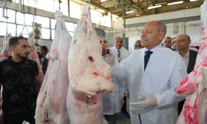 محافظ القاهرة يزور مجزر 15 مايو للتأكد من جاهزيته لاستقبال عيد الأضحى محافظ القاهرة يزور مجزر 15 مايو للتأكد من جاهزيته لاستقبال عيد الأضحى
