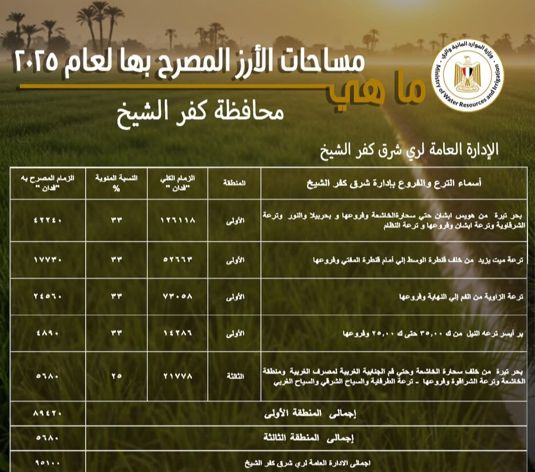 خطة لتوفير المياه لمحصول الأرز بمساحة 189،8 ألف فدان في كفر الشيخ