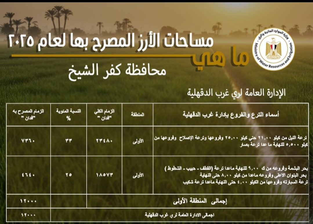 خطة لتوفير المياه لمحصول الأرز بمساحة 189،8 ألف فدان في كفر الشيخ