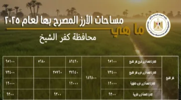 استراتيجية “الري” لتأمين المياه لزراعة الأرز على مساحة 189.8 ألف فدان في كفر الشيخ