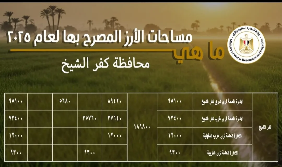 استراتيجية “الري” لتأمين المياه لزراعة الأرز على مساحة 189.8 ألف فدان في كفر الشيخ