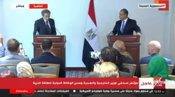 المدير العام للوكالة الدولية للطاقة الذرية: سنستمر في مساعدة مصر على تعزيز قدراتها النووية