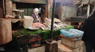 أسعار الأسماك في الأسواق اليوم، الاثنين 2 يونيو 2025