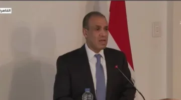 عبد العاطي: القضية الفلسطينية تمثل جوهر الصراع في المنطقة