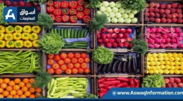 تراجع سعر البطاطس: أسعار الخضروات في سوق العبور اليوم الإثنين