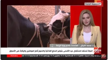 متحدث وزارة الزراعة: تدابير قوية للتصدي لزيادة أسعار اللحوم