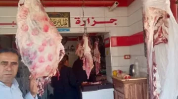 إدارة تموين أولاد صقر في الشرقية تعزز جهودها لمراقبة الأسواق وتسجيل محاضر للمخالفين.