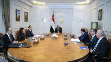 الرئيس السيسي يطالب باستمرار تحسين وتطوير أداء الشركات التابعة للقطاع العام.