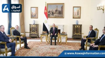 الرئيس السيسي يرحب بالمدير العام للوكالة الدولية للطاقة النووية