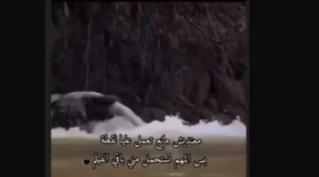 «الأهم أن تتحمليني حتى نهاية الفيلم».. أحمد السقا يسبب الجدل برسالة غامضة