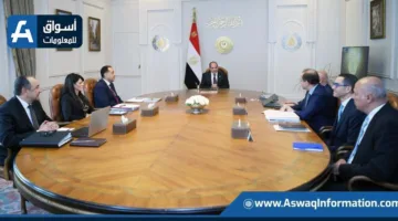 النسيج والسيارات والسياحة: الرئيس السيسي يطلع على أحدث تطورات تحسين شركات القطاع العام للأعمال