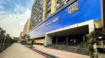 انخفاض بنسبة 24%.. الإحصاءات: 414.7 مليون دولار قيمة واردات سيارات الركوب في شهرين