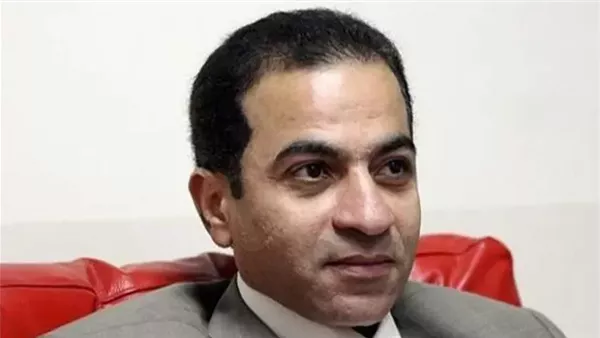هشام إبراهيم: ازدياد كبير في دور القطاع الخاص في الاستثمار بمصر