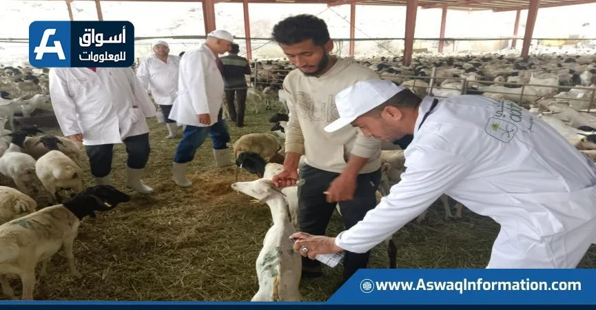 تشمل 220 طبيبًا.. وزير الزراعة يتابع أنشطة البعثة البيطرية في الأراضي المقدسة