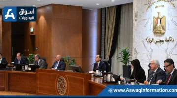 وزيرة التخطيط: الشركات الناشئة حصلت على تمويلات بقيمة 228 مليون دولار في غضون 5 أشهر