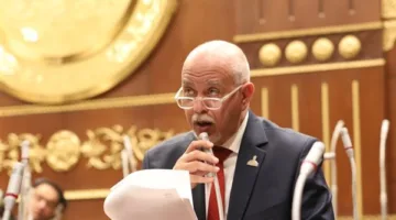 البرلمان يوافق على اقتراحين لإنشاء منطقة حرة للمصريين في الخارج