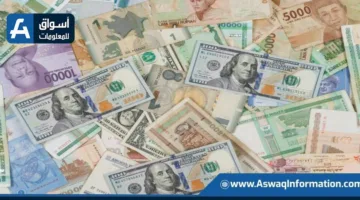 ضبط قضايا تهريب عملة أجنبية بقيمة 9 ملايين جنيه