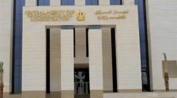 فرص عمل حكومية للخريجين الجدد: تعرف على الشروط وطرق التقديم
