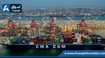 بتمويل 11 مليون دولار.. إطلاق منصة رقمية لفحص المخاطر والتتبع لتعزيز التجارة في مصر