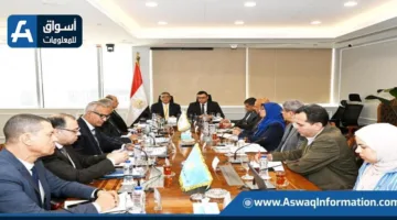 وزير الإسكان يناقش مع محافظ الجيزة مشاريع مياه الشرب والصرف الصحي والطرق