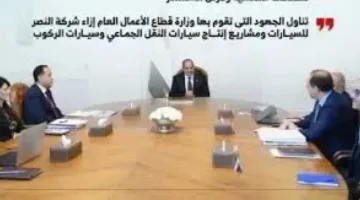 الرئيس السيسي يوجه بالاستمرار في تعزيز كفاءة شركات قطاع الأعمال (إنفوجراف)