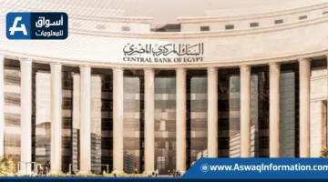 البنك المركزي يطرح أذون خزانة بقيمة 485.5 مليون دولار للبيع