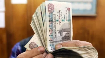 الحوافز والمكافآت الجديدة: تحديث جدول راتب أعضاء هيئة التدريس بالجامعات بعد الزيادة.