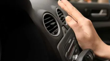 «قد تتعرض سيارتك للخطر بسببهم».. 9 أشياء يجب التخلص منها فورًا قبل بدء فصل الصيف