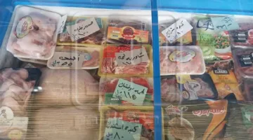 محافظ دمياط يطلق معرضاً للمواد الغذائية بخصم 15% بمناسبة قرب عيد الأضحى 2025.