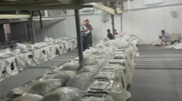 عضو اللجنة العليا للحج والعمرة: تجهيز جميع الترتيبات لنقل حجاج السياحة إلى عرفات يوم الأربعاء