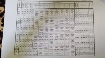 نتائج الصف السادس الابتدائي للفصل الدراسي الثاني 2025 .. متاحة الآن