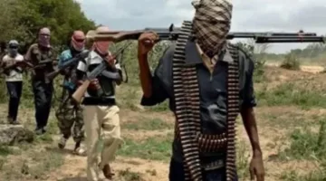 20 قتيلًا بالخطأ إثر غارة جوية في شمال غرب نيجيريا