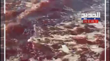 غموض وقلق: البحر في طرابلس يتحول إلى اللون الأحمر (شاهد الفيديو)