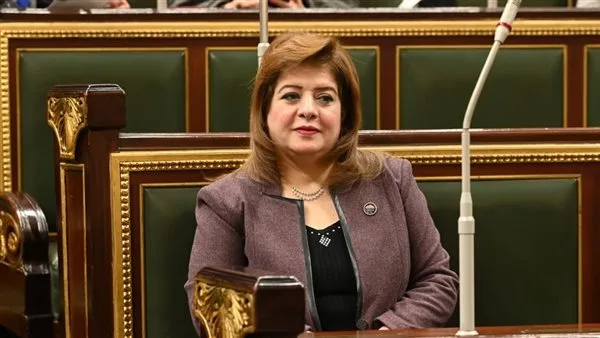 لجنة الشؤون الخارجية بالبرلمان: زيارة وزير الخارجية الإيراني إلى القاهرة تُعتبر ‘تاريخية’