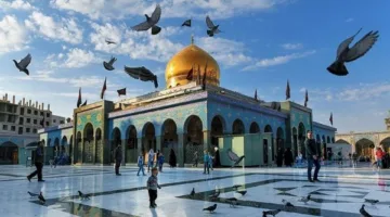 محبوبة المصريين: لمحات من حياة السيدة زينب وأثرها في قلوب الناس
