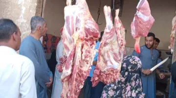 تموين قنا يسجل 1222 مخالفة متنوعة خلال مايو