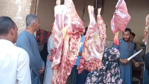 تموين قنا يسجل 1222 مخالفة متنوعة خلال مايو تموين قنا يسجل 1222 مخالفة متنوعة خلال مايو
